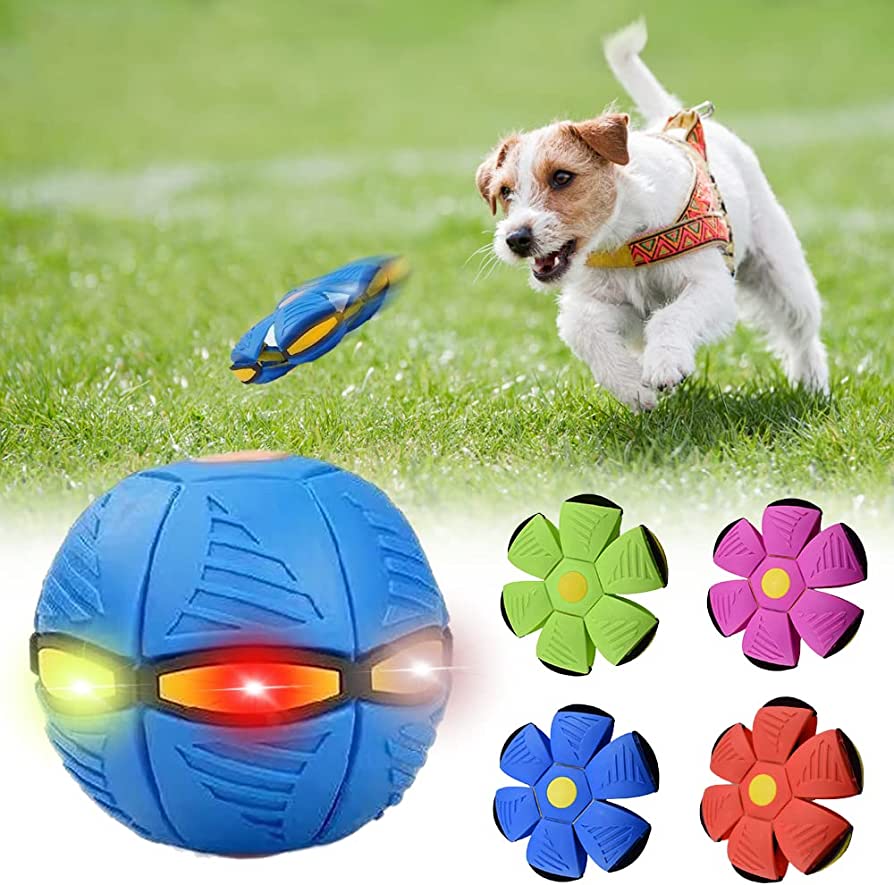 PETORA™ Dog Frisbee