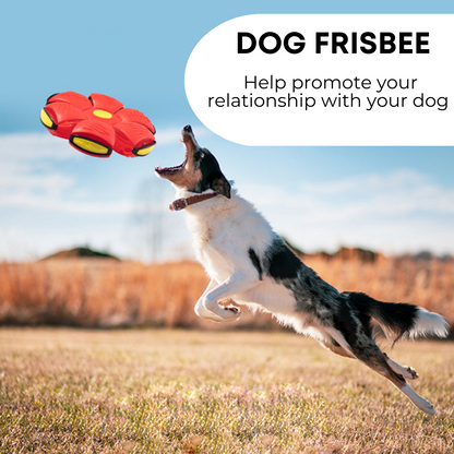 PETORA™ Dog Frisbee