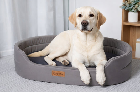 PETORA™ Dog Bed: